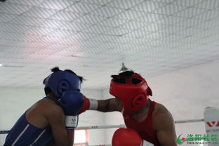 力量之搏 洛陽(yáng)第十二屆運(yùn)動(dòng)會(huì)拳擊比賽圓滿落幕