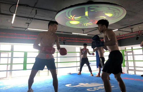 拳風(fēng)再起，蓄力新征程——廣西拳擊隊(duì)進(jìn)駐迪創(chuàng)曼巴中心開(kāi)啟高強(qiáng)度集訓(xùn)