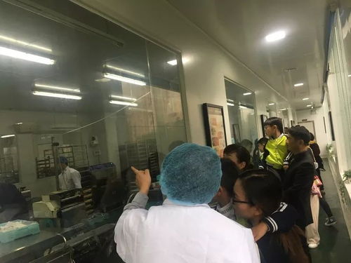 相約蛋糕工廠 品味甜蜜時光——記龍灣區(qū)第九幼兒園中二班參觀蛋糕生產(chǎn)工廠社會實踐活動